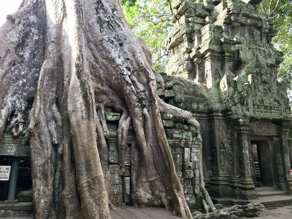 Ta Prohm tomb raider tempel