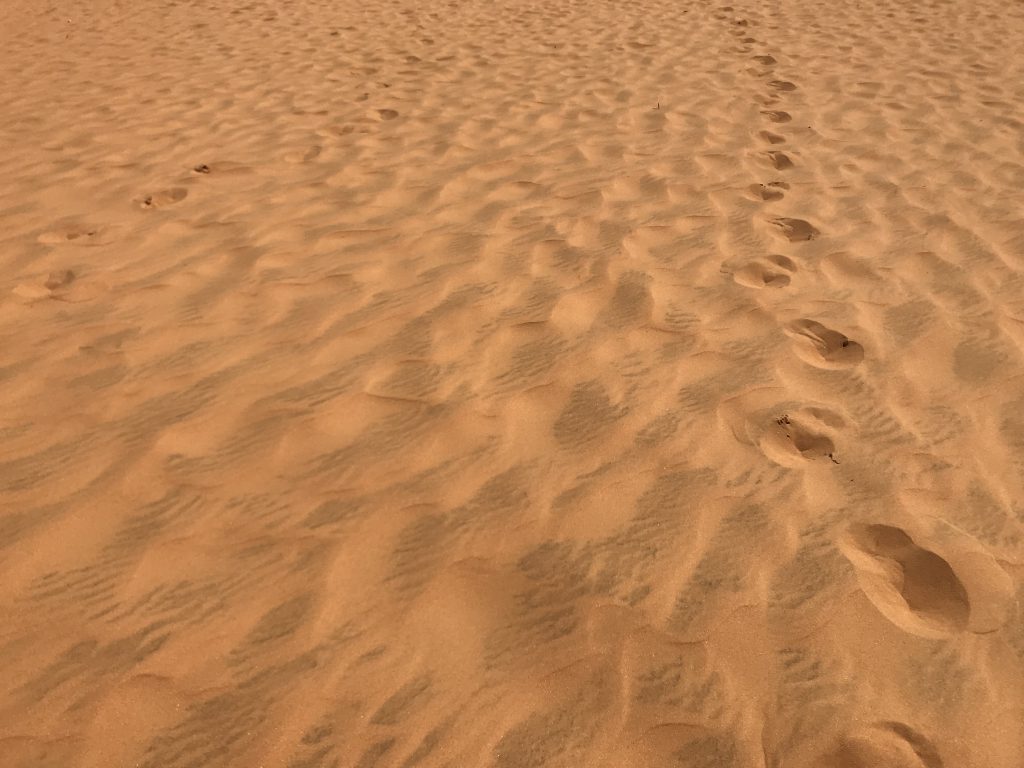 mui ne duinen