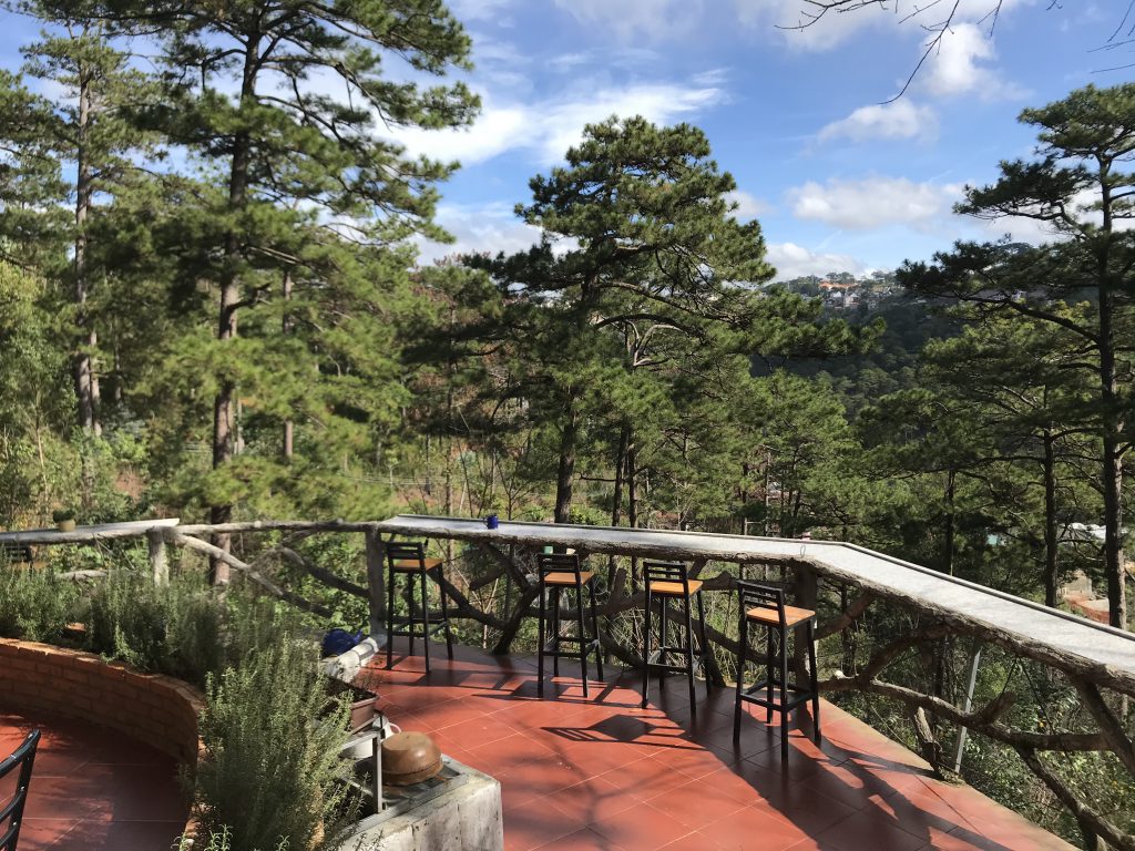 maple hostel dalat