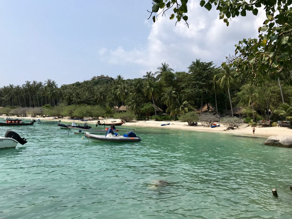 Shark Bay Koh Tao