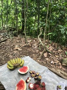 picknick fruit jungle bukit lawang