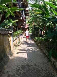 straat bukit lawang sumatra