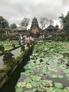 Lotus Saraswati tempel ubud