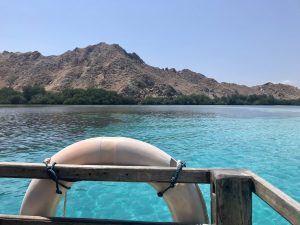 Komodo mantha rhei dive boat