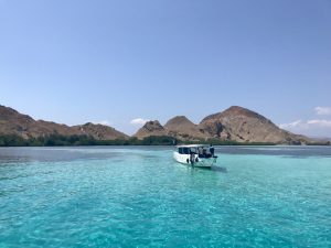 Komodo dive