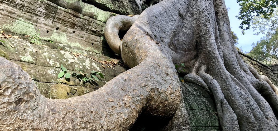 Ta Prohm tempel