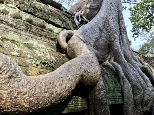 Ta Prohm tempel