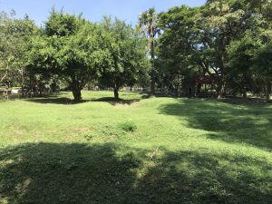 killing fields phnom penh