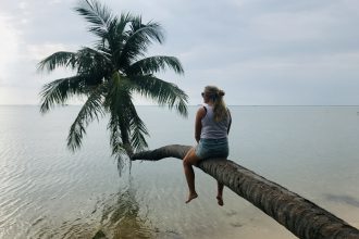 koh phangan palm tree